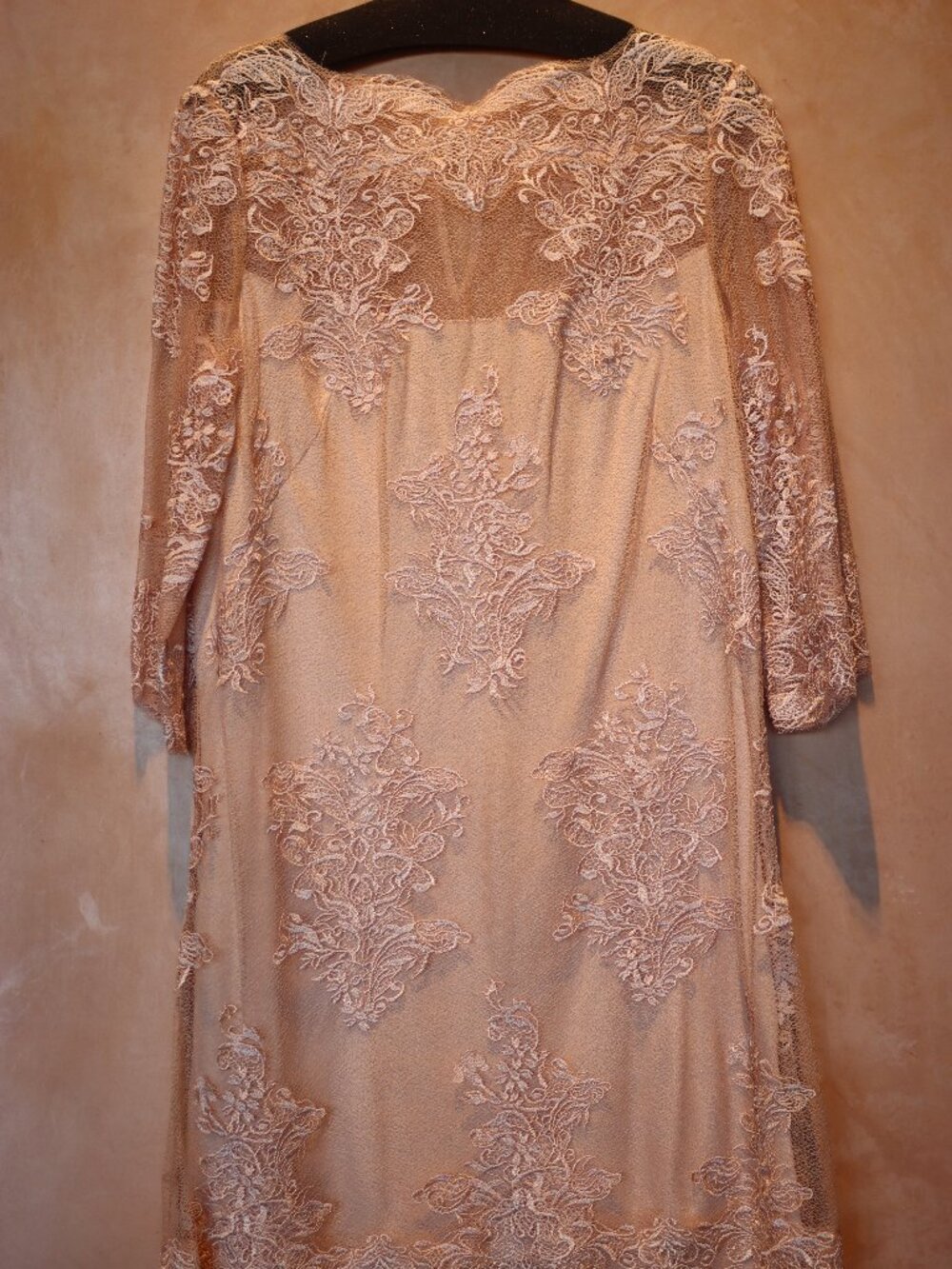 Tadashi Shoji Blush Champagne Lace Cocktail Dress Size 6 Illusion Neckline